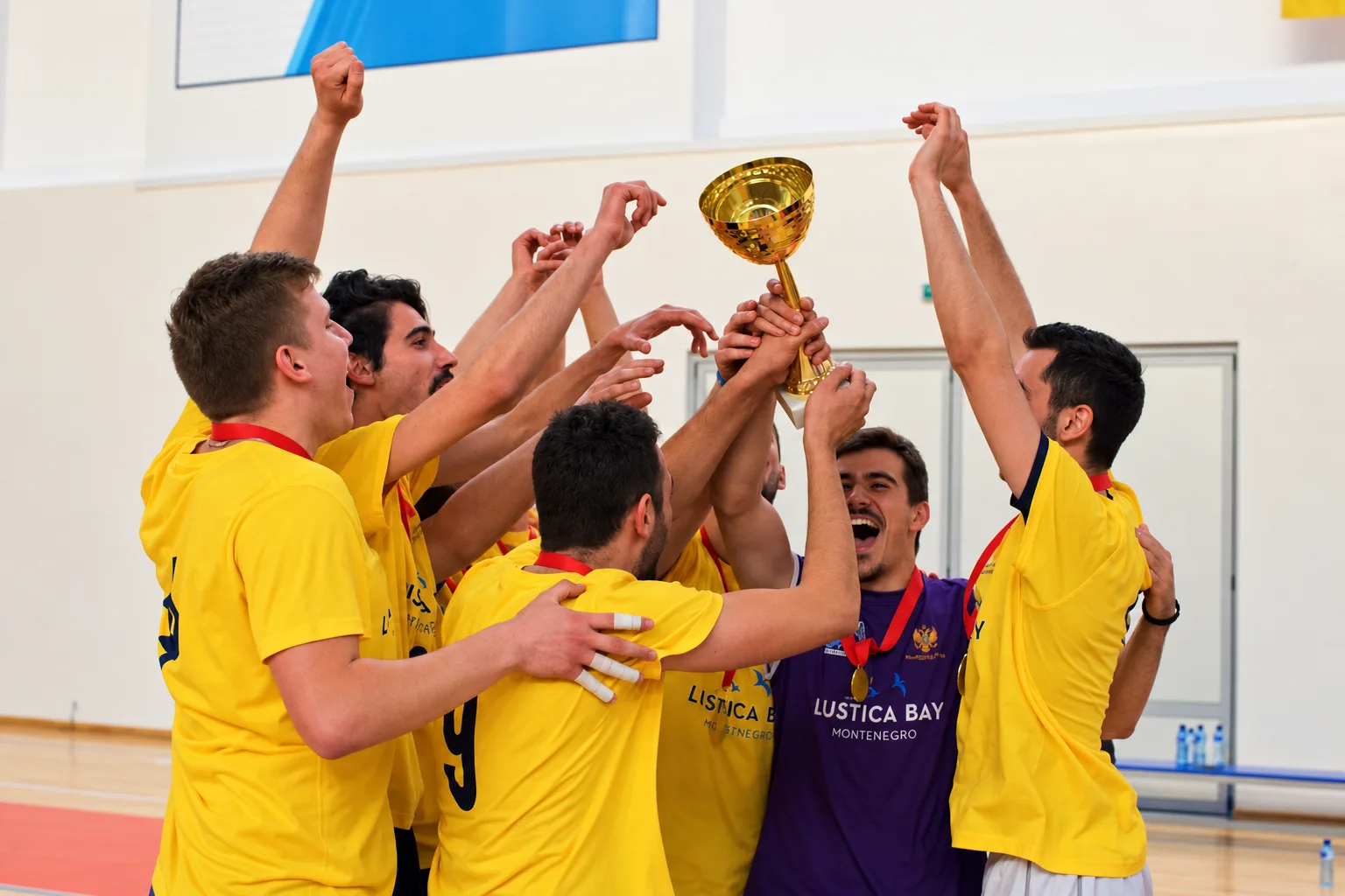 Volleyball Coaching